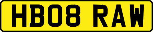 HB08RAW