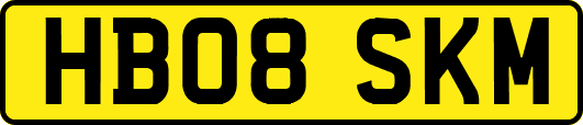 HB08SKM