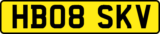 HB08SKV