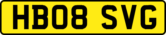 HB08SVG