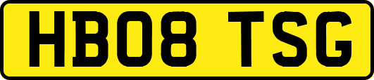 HB08TSG
