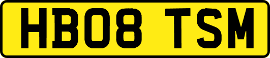 HB08TSM