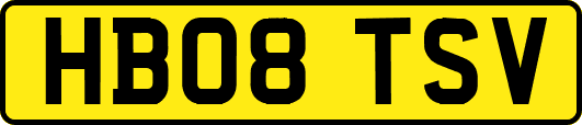 HB08TSV
