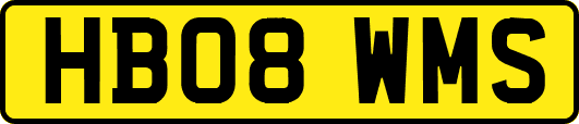 HB08WMS