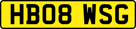HB08WSG