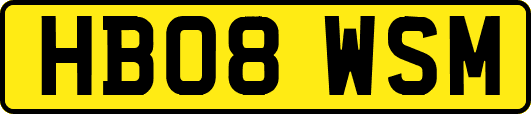 HB08WSM
