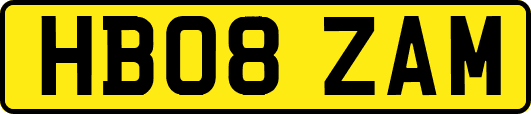 HB08ZAM