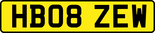 HB08ZEW