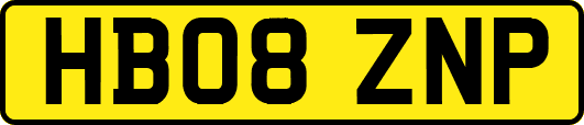 HB08ZNP