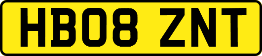 HB08ZNT