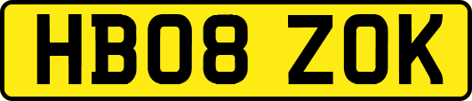 HB08ZOK