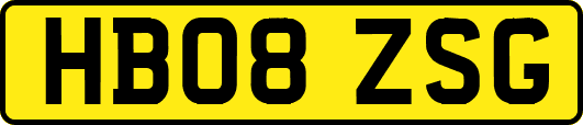 HB08ZSG