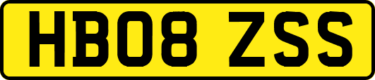 HB08ZSS