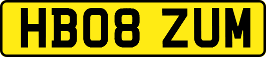 HB08ZUM