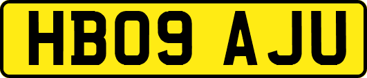 HB09AJU