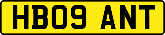 HB09ANT
