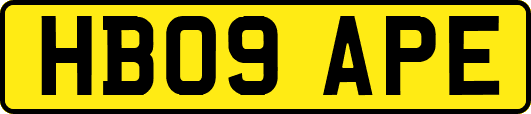 HB09APE