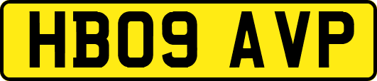 HB09AVP
