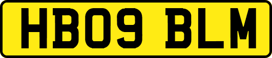 HB09BLM