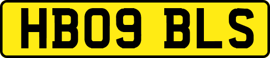 HB09BLS