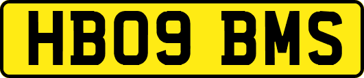 HB09BMS