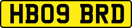 HB09BRD