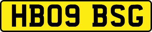 HB09BSG