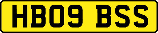 HB09BSS