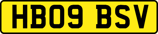 HB09BSV