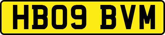 HB09BVM