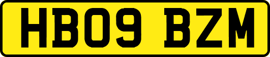 HB09BZM