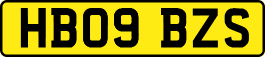 HB09BZS