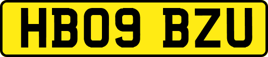 HB09BZU