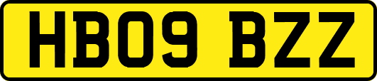 HB09BZZ