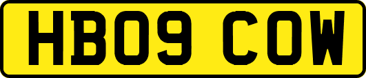 HB09COW