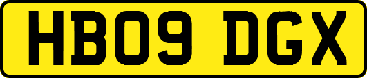 HB09DGX