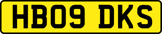 HB09DKS
