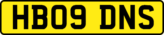 HB09DNS