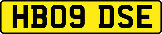 HB09DSE