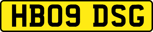 HB09DSG