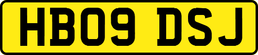 HB09DSJ