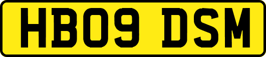 HB09DSM