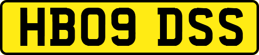 HB09DSS
