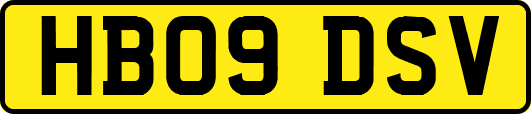 HB09DSV