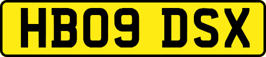 HB09DSX