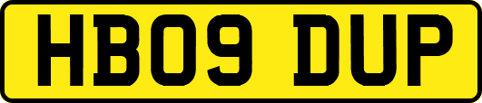 HB09DUP