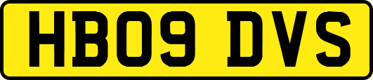 HB09DVS