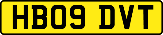 HB09DVT