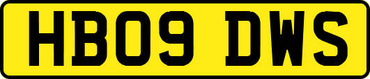HB09DWS