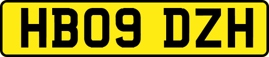 HB09DZH